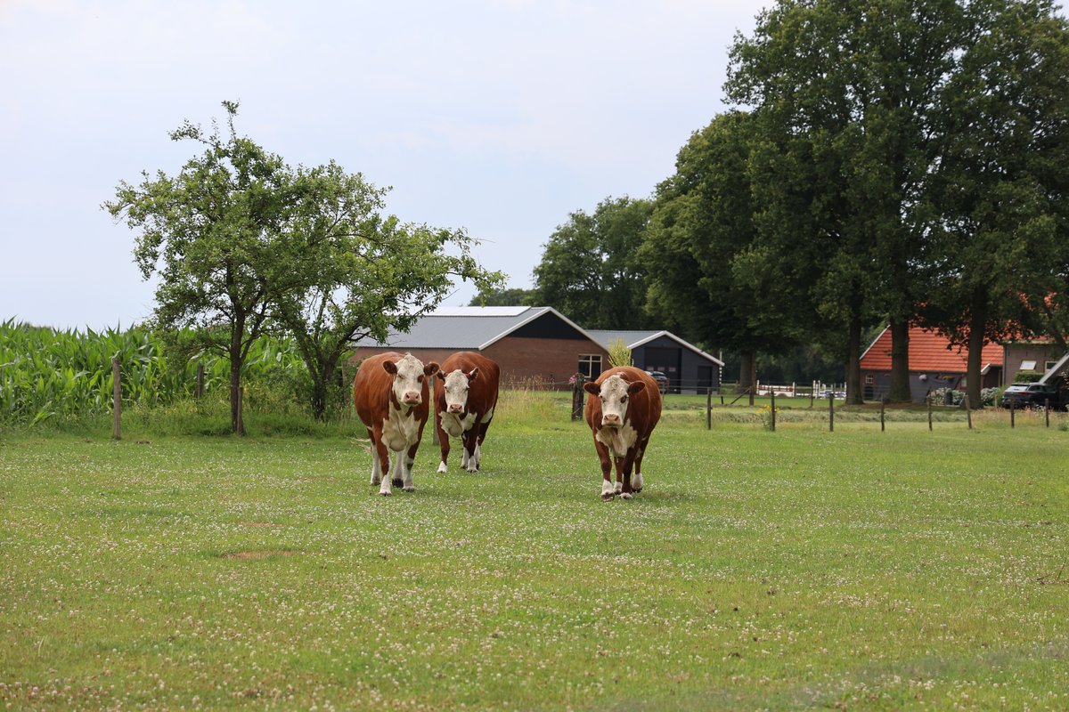 Onze nieuwe elektrische duofiets is feestelijk in gebruik genomen